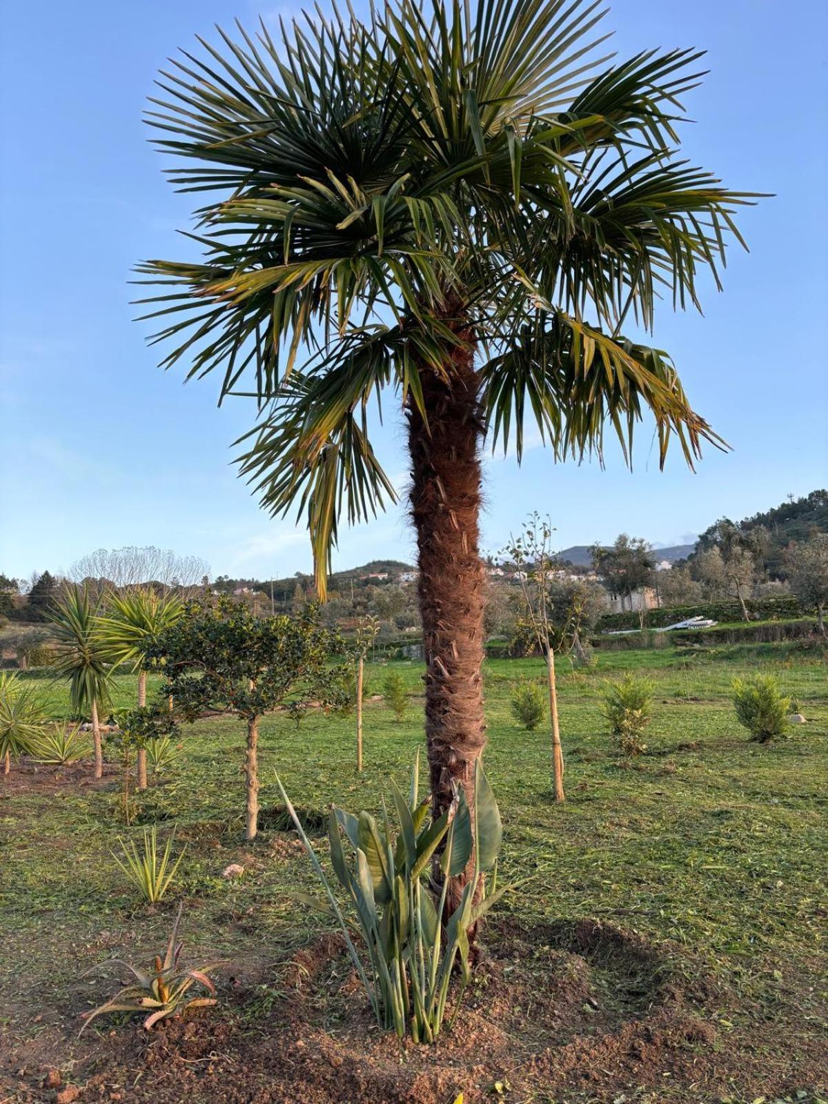Quinta Santo Antonio Gouveia (Guarda)