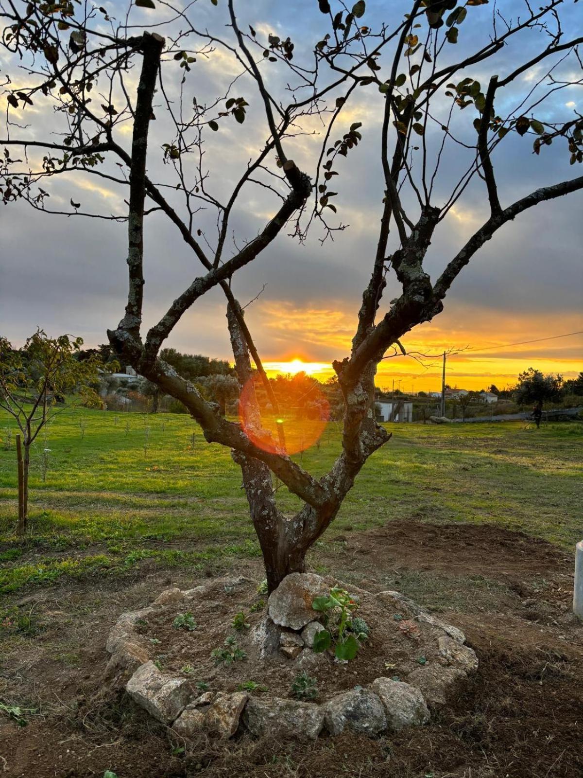Quinta Santo Antonio * Gouveia (Guarda)